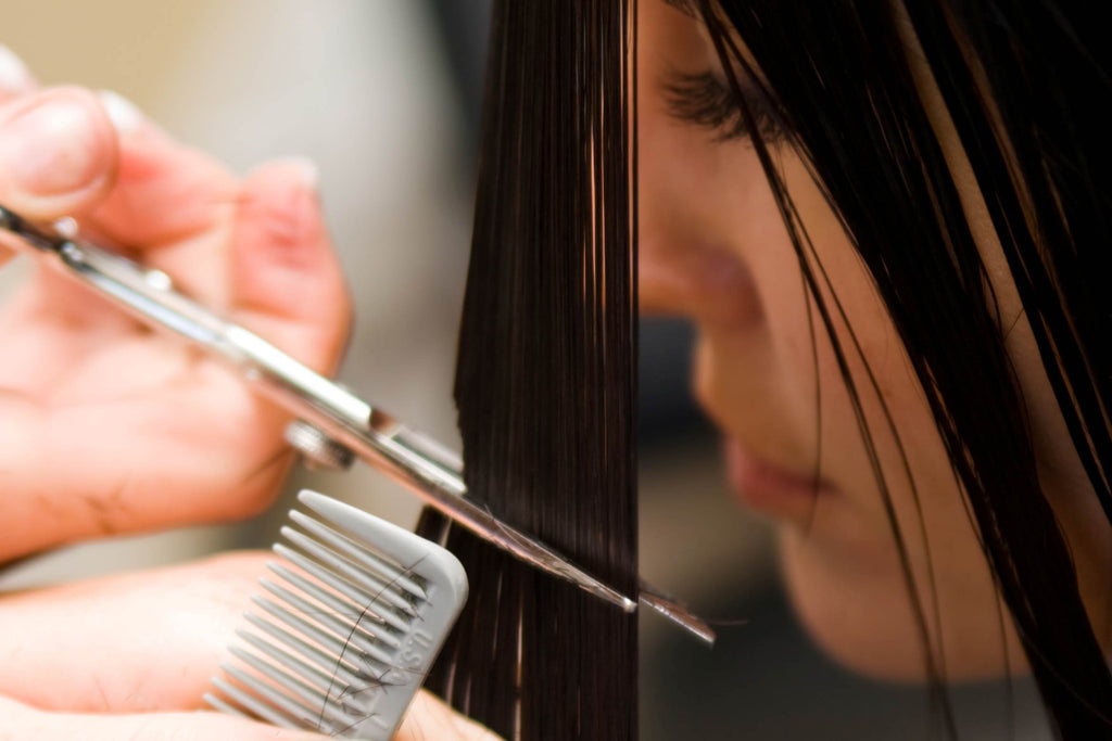 Japanese vs. German Hair Shears: What Stylists Should Know