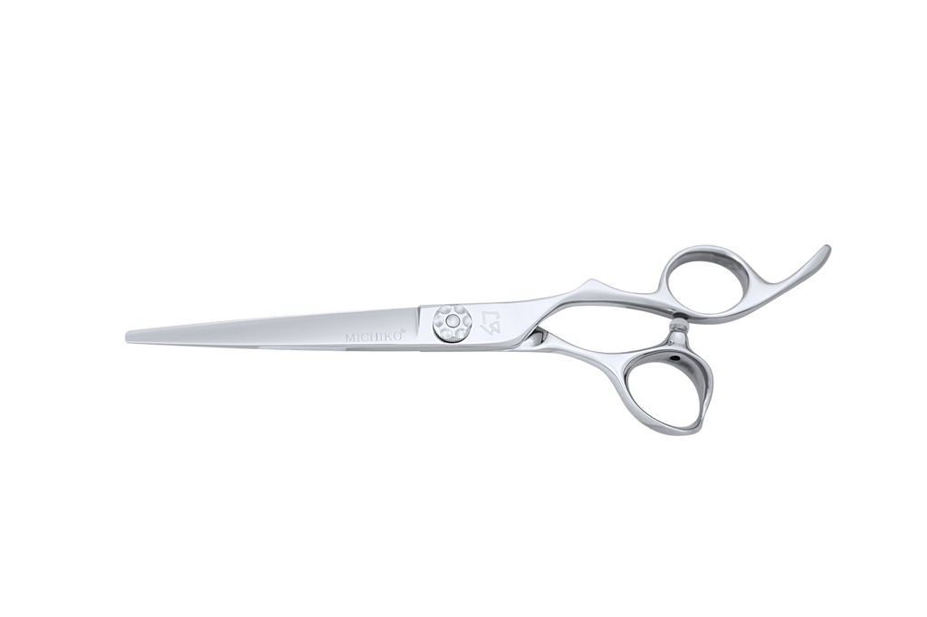 Anchor 6.5-inch professional hair cutting shear in stainless steel.