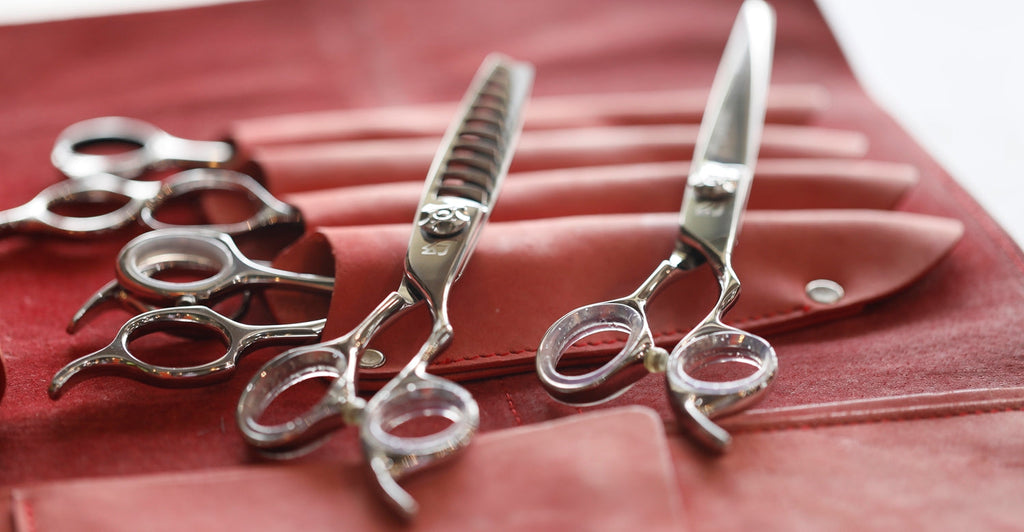 Dropped Your Professional Shears? Here’s What to Do Next