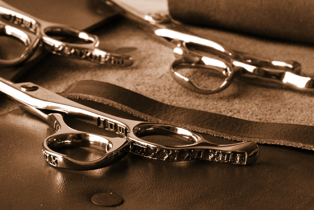 Starter Shears That Work: A Professional Guide to Beginner Hair Cutting Scissors