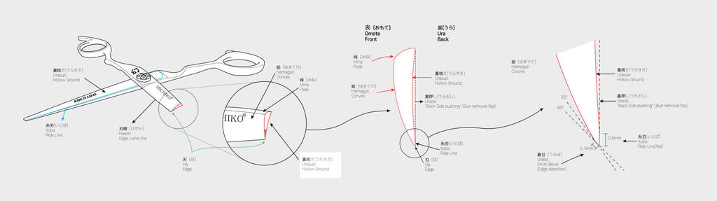 Detailed nomenclature of a hairdressing shear, divided by an expert.